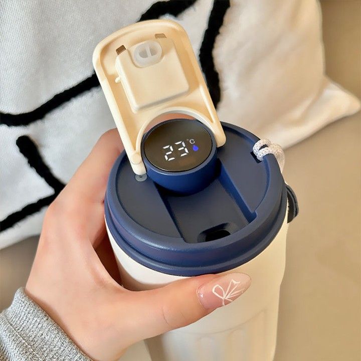 Thermos Bottle with LED Temperature Display